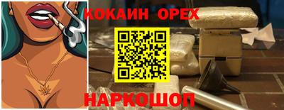 тгк Кингисепп