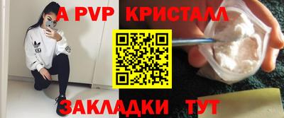 тгк Кингисепп