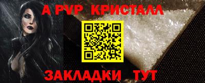 тгк Кингисепп